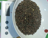 Foto del paso 7 de la receta: Lentejas a la Tortosina. "con baldana sacsanudas"