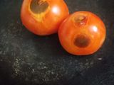 मेक्सिकन सालसा (mexican salsa recipe in marathi)