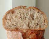 Foto langkah ke 21 dari resep Mix Seeds Sourdough Bread (Kabuki Gold).