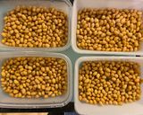 A picture of step 5 of Ferment Natto at home.