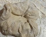 A picture of step 3 of Artisan style white bread.