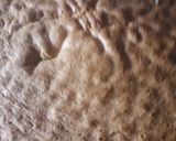 Foto del paso 5 de la receta Torta casera de vainilla