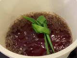 Cincau Hijau