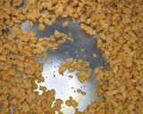 Foto del paso 4 de la receta: Casarecce (pasta) de legumbres con soja texturizada