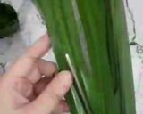 Foto langkah ke 1 dari resep Takir Daun Pandan.