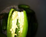 Foto del paso 1 de la receta: Aliño, Sazonador, Condimento natural!