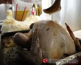 Φωτογραφία βήματος 6 της συνταγής Γαλοπούλα 🍗 γεμιστή πεντανόστιμη