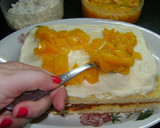 Foto del paso 8 de la receta: Chaja (torta con dulce de leche, crema y duraznos)