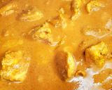 A picture of step 6 of Delicious and Easy Chicken Tikka Masala!.