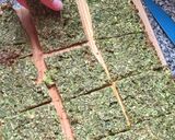 Foto del paso 4 de la receta: Masa de pizza o tostadas de brócoli