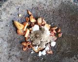 Foto langkah ke 1 dari resep Bakso Ayam super kenyal DEBM (tanpa tepung).