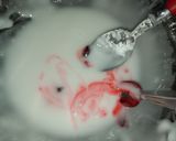 Foto del paso 8 de la receta: Donas coloridas