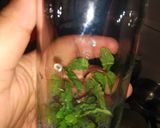 Foto langkah ke 3 dari resep Mojito Tea.