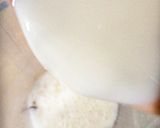 A picture of step 3 of Coconut Milk Shake.