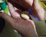 Φωτογραφία βήματος 8 της συνταγής Μαστιχωτά και ζαχαρένια cookies φράουλας