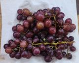 Foto del paso 1 de la receta: 🍇 Mermelada de uvas 🍇