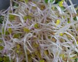 Foto del paso 7 de la receta: Ensalada fresca