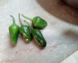A picture of step 8 of Masala Bhindi.