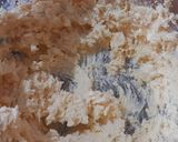 Foto del paso 1 de la receta: Tarta de manzana