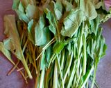 ગ્રીન પાલક પરોઠા (Green Palak Paratha Recipe In Gujarati) રેસીપી સ્ટેપ1ફોટો