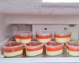 Hình bước làm 8 của món Panna cotta dưa hấu