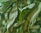 Foto langkah ke 1 dari resep Tumis Cah Kangkung ala anak kos.