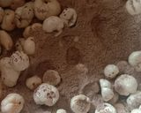 A picture of step 3 of Roasted makhana.