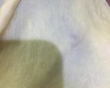 Foto langkah ke 3 dari resep Basic Soft  Bun.