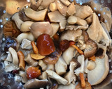 Foto del paso 1 de la receta: Fricandó de ternera
