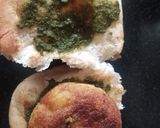 A picture of step 5 of Burger.
