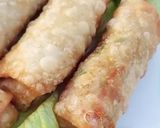 A picture of step 5 of Spring Rolls 🥕🫑🥬.