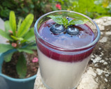 Foto del paso 9 de la receta: Panna cotta de coco con coulis de blueberry