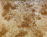 Foto del paso 3 de la receta: Torta de manzana