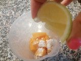 Semifreddo crema allo yugurt alla vaniglia e melone