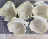 Cabbage roll recipe step 1 photo