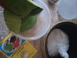 Puding Alvokad Mentega