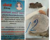 รูปขั้นตอนการทำที่ 2 ของ เกาเหลาเนื้อเปื่อย