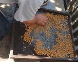 Foto del paso 2 de la receta: Mote mei