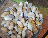 Foto del paso 1 de la receta: Coquinas con ajito