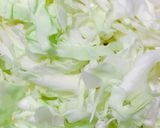 Hình bước làm 1 của món Hủ tíu xào chay - công thức giảm cân thần tốc mà không ngán 🥗
