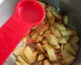 A picture of step 1 of DIY apple sauce.