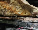 Foto del paso 3 de la receta: 🥩🍕🧅Matambre a la fugazzeta 🧅🍕🥩