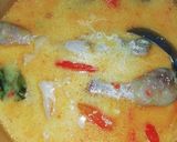 Foto langkah ke 7 dari resep 28. Lodho ayam.