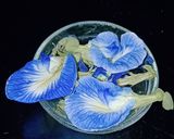 A picture of step 1 of Butterfly pea flower syrup.