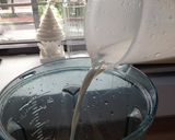 鮮奶系列》蘋果鮮奶的食譜步驟3照片