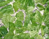 પાલક પત્તા ચાટ (Palak Leaves Chaat Recipe In Gujarati) રેસીપી સ્ટેપ1ફોટો