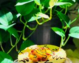 عکس مرحله 8 از دستور چيز كيك انبه 🥭
