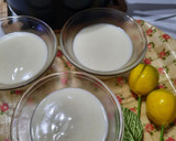 Foto del paso 6 de la receta: Postrecito saludable de limón