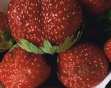 સ્ટ્રોબેરી મિલ્ક શેક(Strawberry Milkshake Recipe in Gujarati) રેસીપી સ્ટેપ1ફોટો