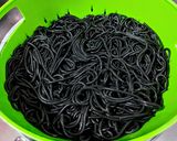 Foto del paso 1 de la receta: Espaguetis🍝Al Nero Di Seppia con Atún en Salsa Roja...!😋